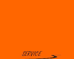 Service
